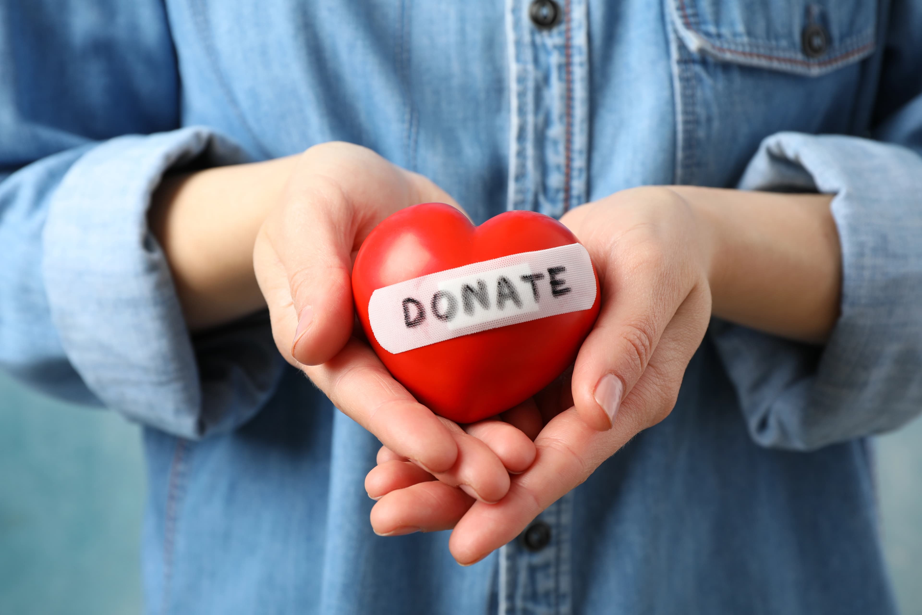 Children supported by India Cultivate Foundation
